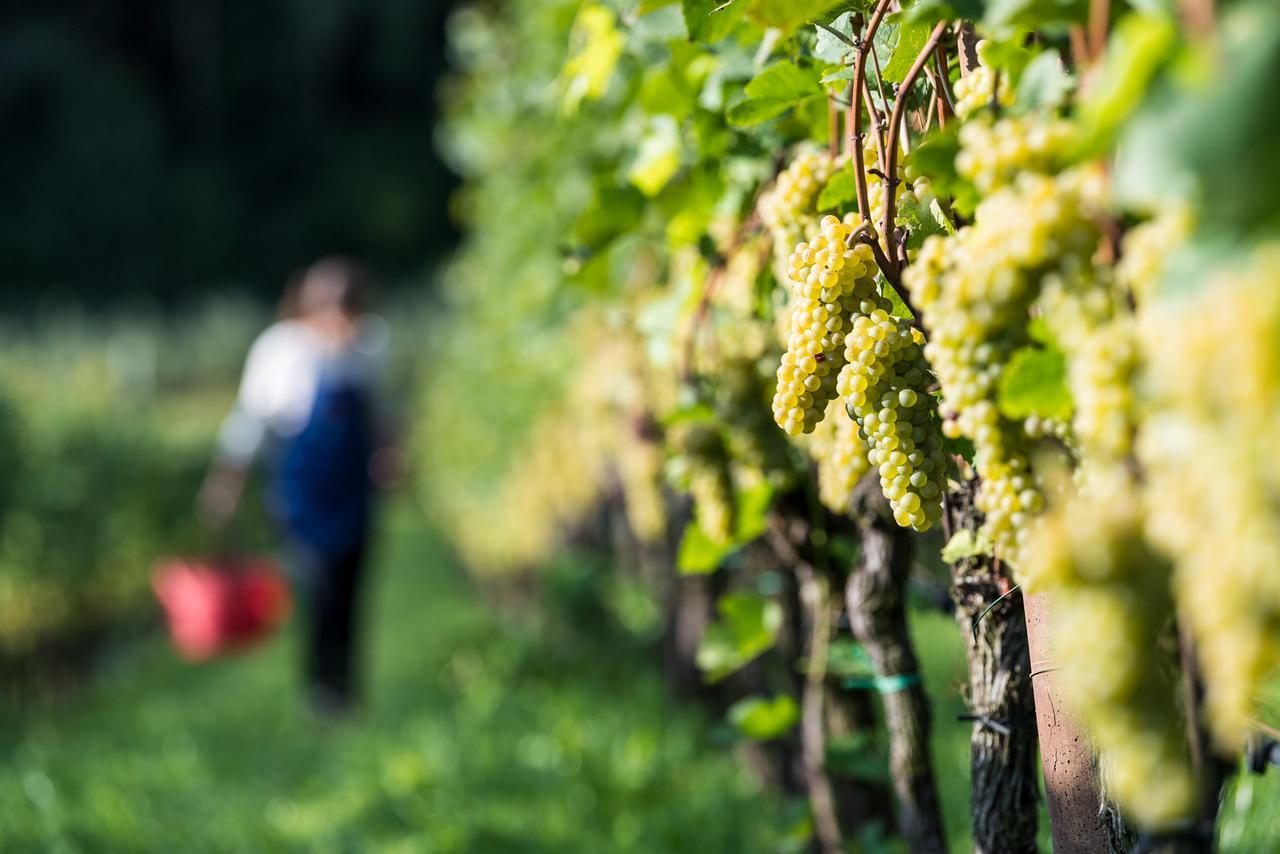 Hotel Christof Appiano sulla Strada del Vino Kültér fotó